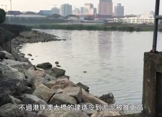 《街焦》2016/01/19 填平河道根治黑沙環沿岸惡臭