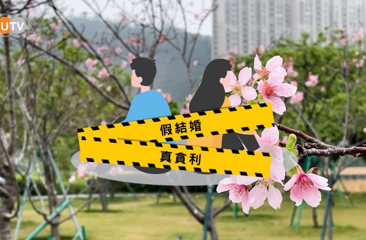 【假結婚 真貪利】